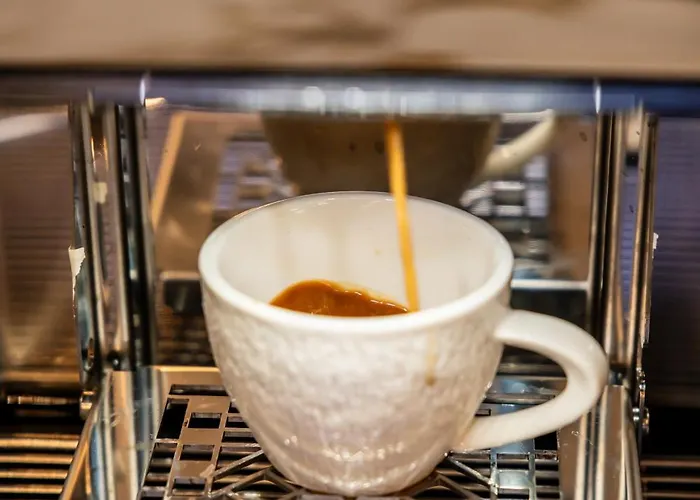 Volotel فندق كلوج-نابوكا